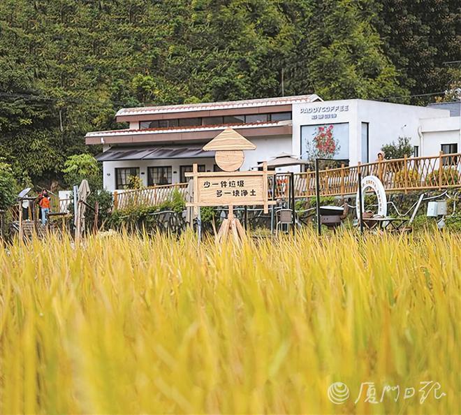 门农村房前屋后变美“秘籍”来啦→球盟会首页三年行动半年显成效！厦(图2)