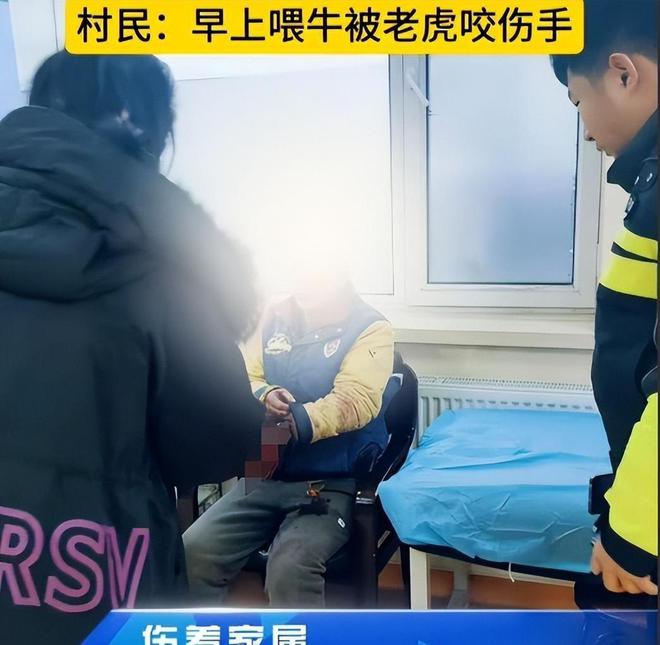 强效麻醉剂仍行动自如晚上9点才睡着球盟会入口东北虎抓捕画面曝光！四针
