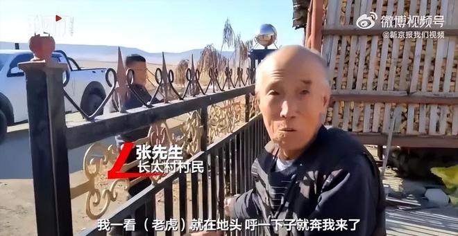 强效麻醉剂仍行动自如晚上9点才睡着球盟会入口东北虎抓捕画面曝光！四针(图5)