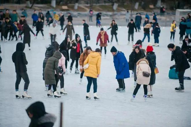 京多所高校专业冰场对外开放球盟会网页登录冰雪头条：北(图11)